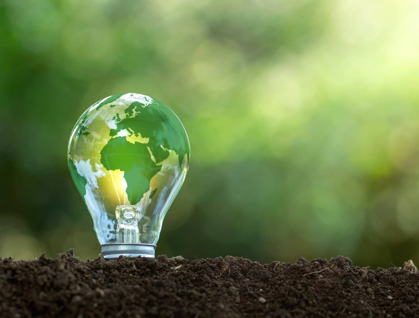 Énergie renouvelable en entreprise : pourquoi et comment franchir le pas